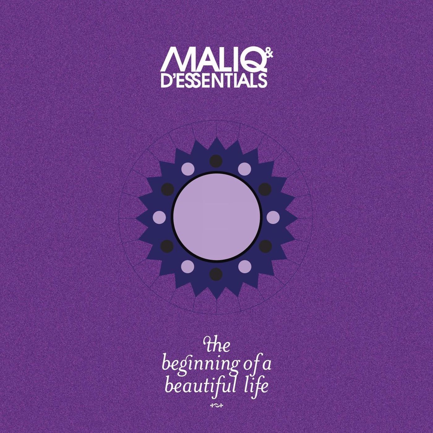  The Beginning Of A Beautiful Life 