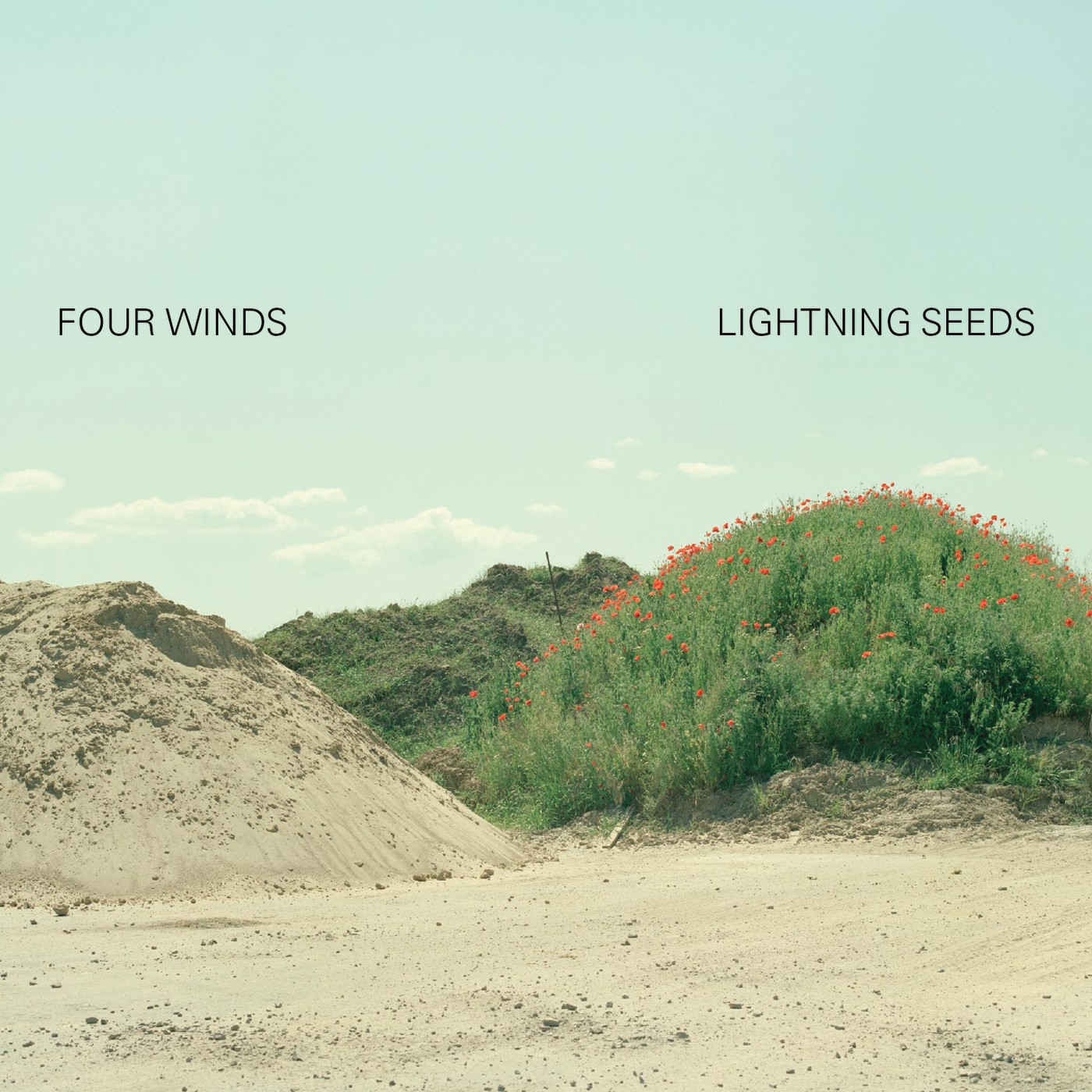 Lightning Seeds lightning-seeds